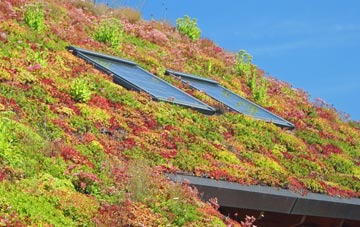 Four Lane End living roof systems